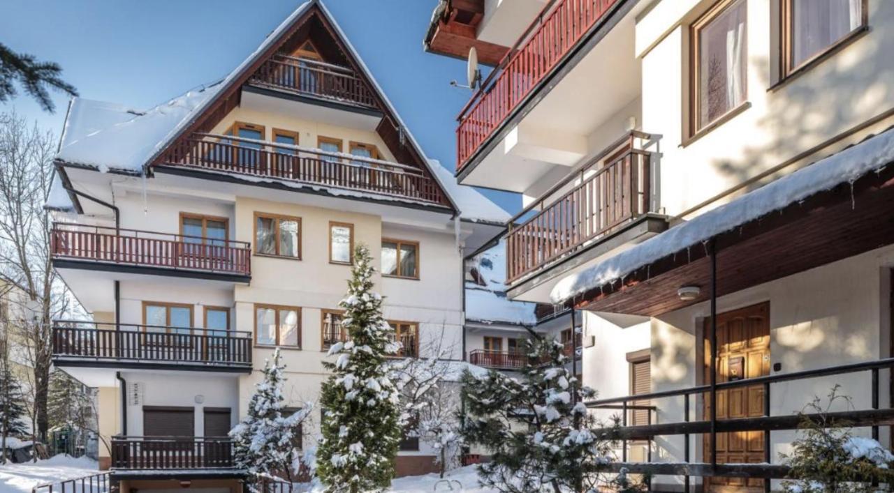 Bazatatry Orkana Zakopane